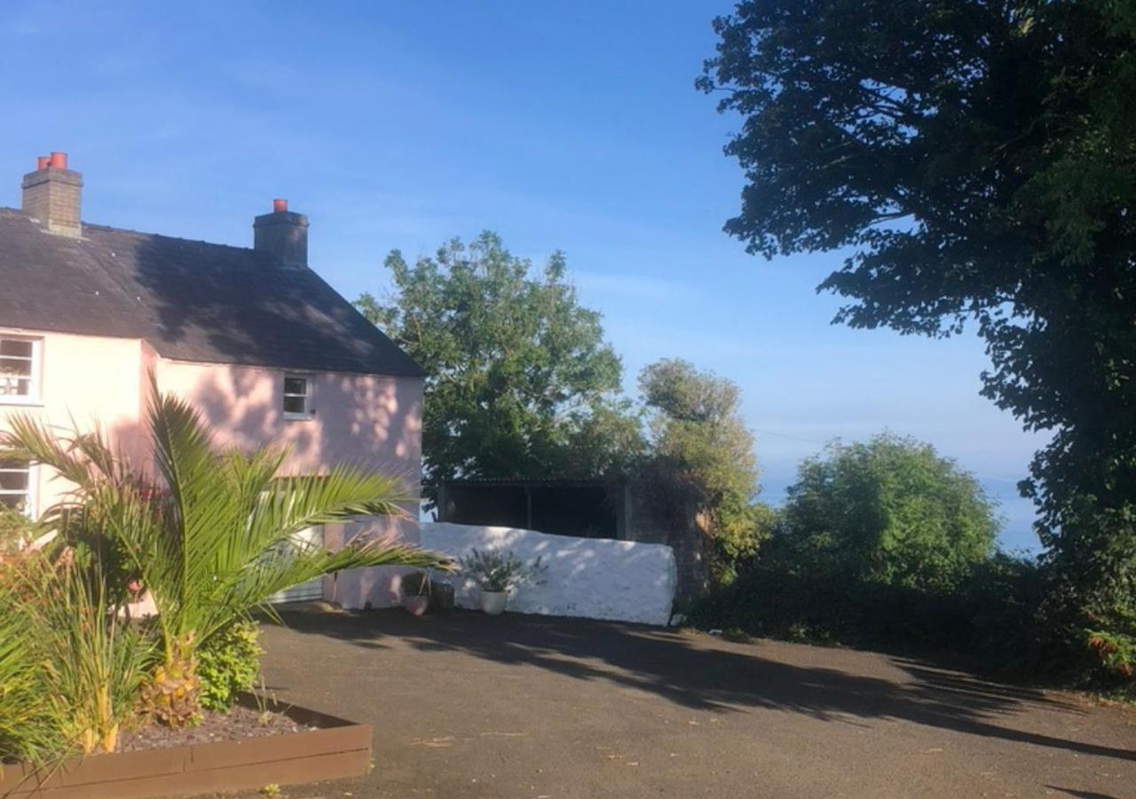The Pink Cottage Upstairs Suite & Garden Summer Room Whitehead Eksteriør billede