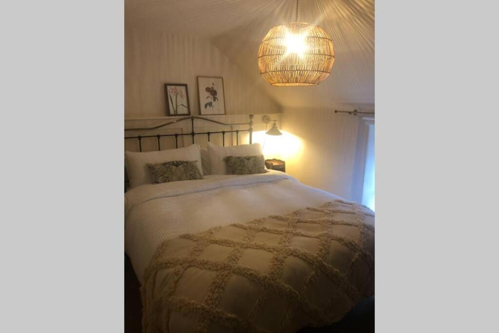 The Pink Cottage Upstairs Suite & Garden Summer Room Whitehead Eksteriør billede