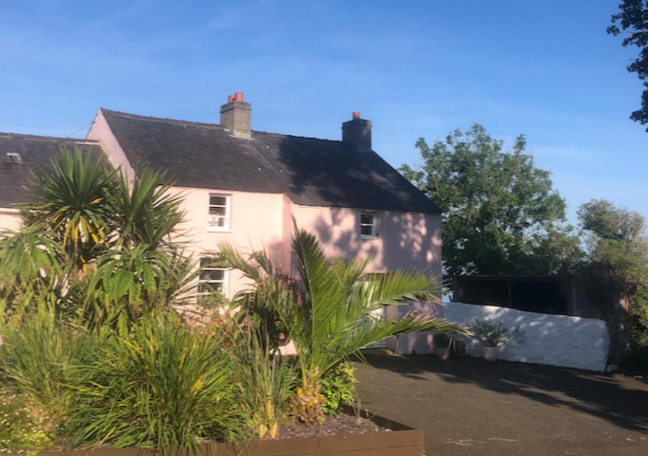 The Pink Cottage Upstairs Suite & Garden Summer Room Whitehead Eksteriør billede
