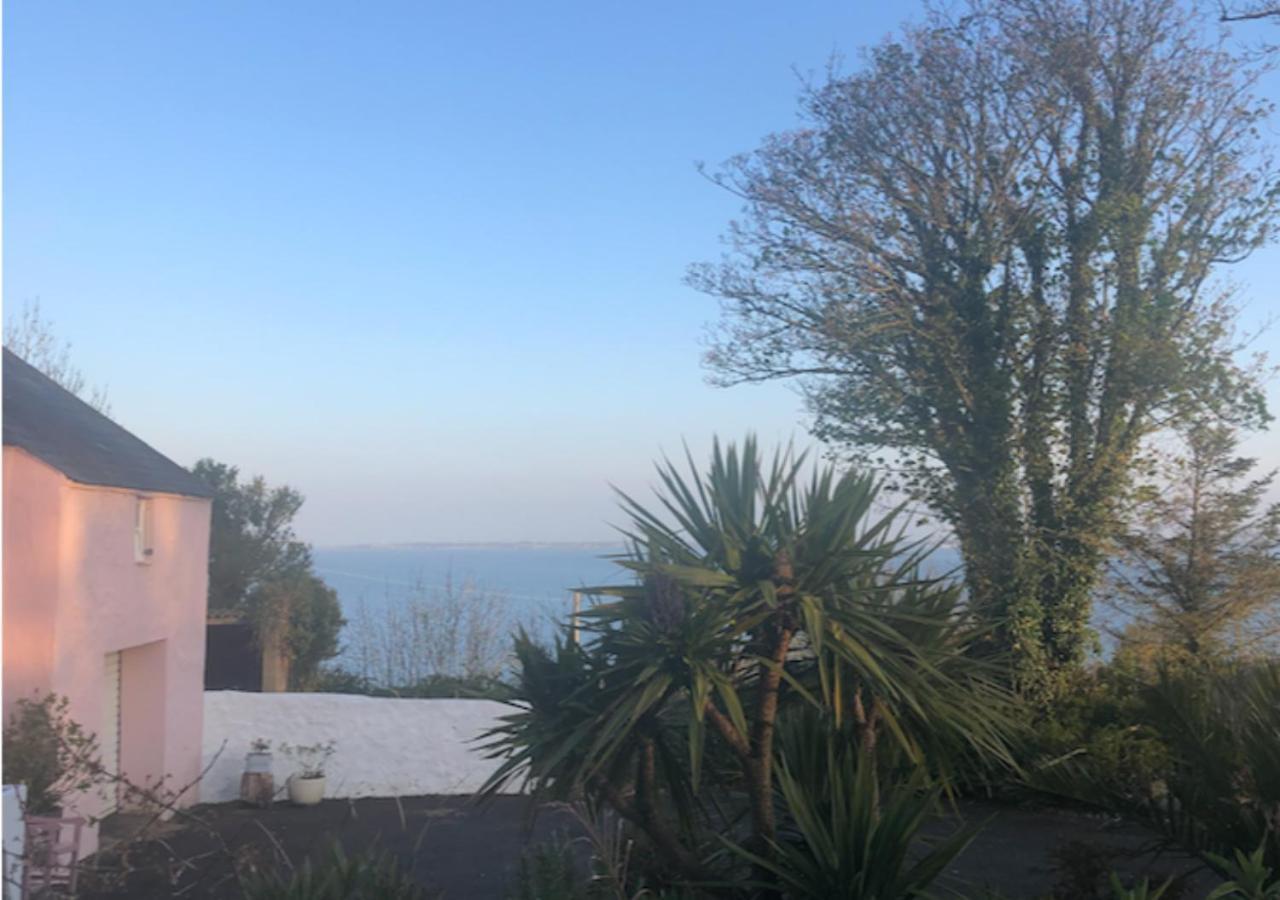 The Pink Cottage Upstairs Suite & Garden Summer Room Whitehead Eksteriør billede