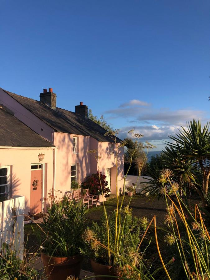 The Pink Cottage Upstairs Suite & Garden Summer Room Whitehead Eksteriør billede