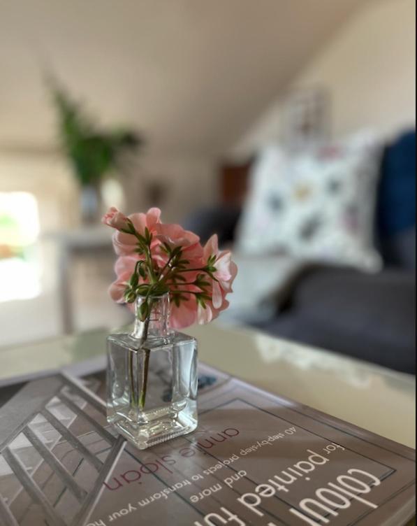 The Pink Cottage Upstairs Suite & Garden Summer Room Whitehead Eksteriør billede
