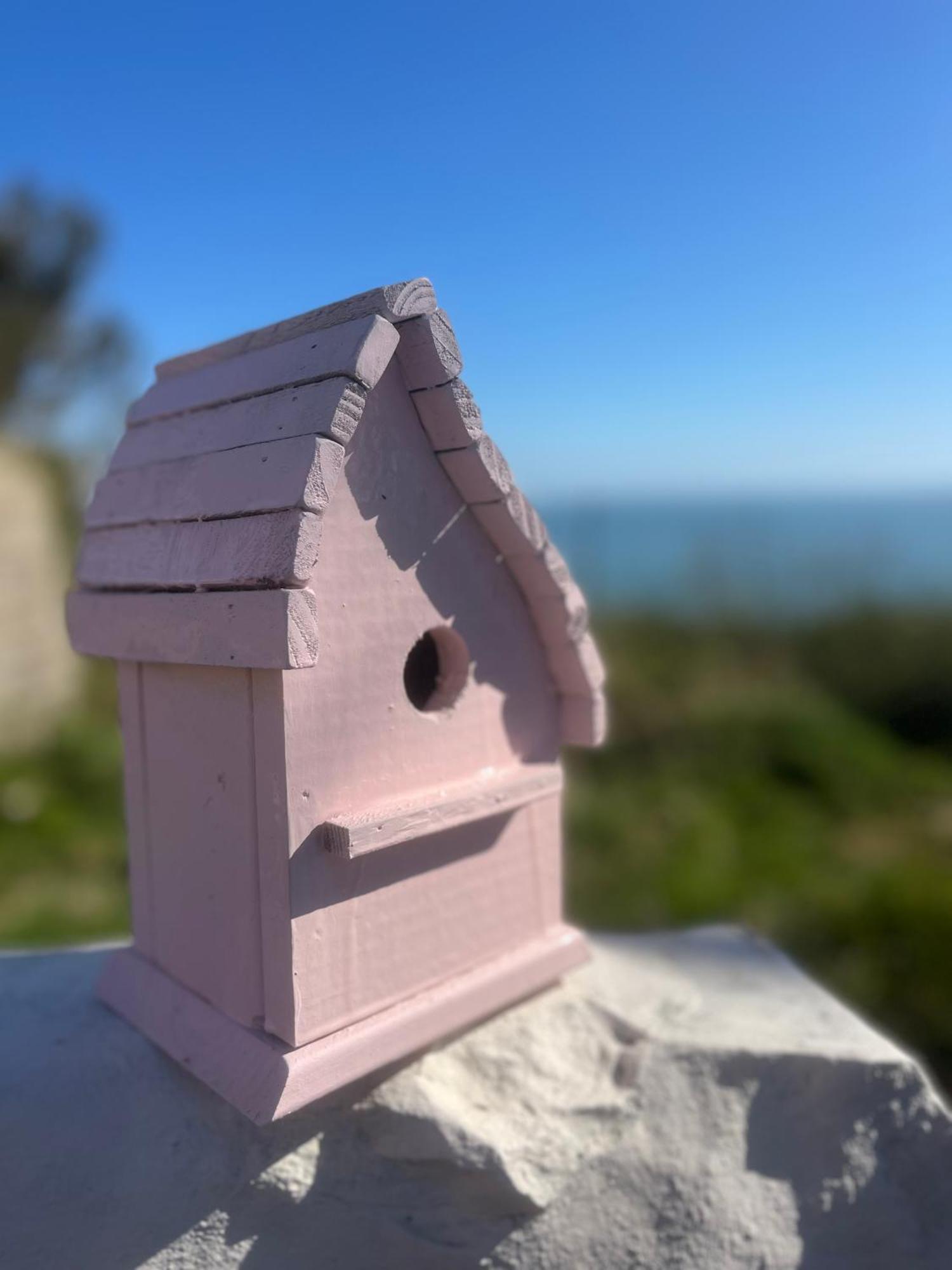 The Pink Cottage Upstairs Suite & Garden Summer Room Whitehead Eksteriør billede