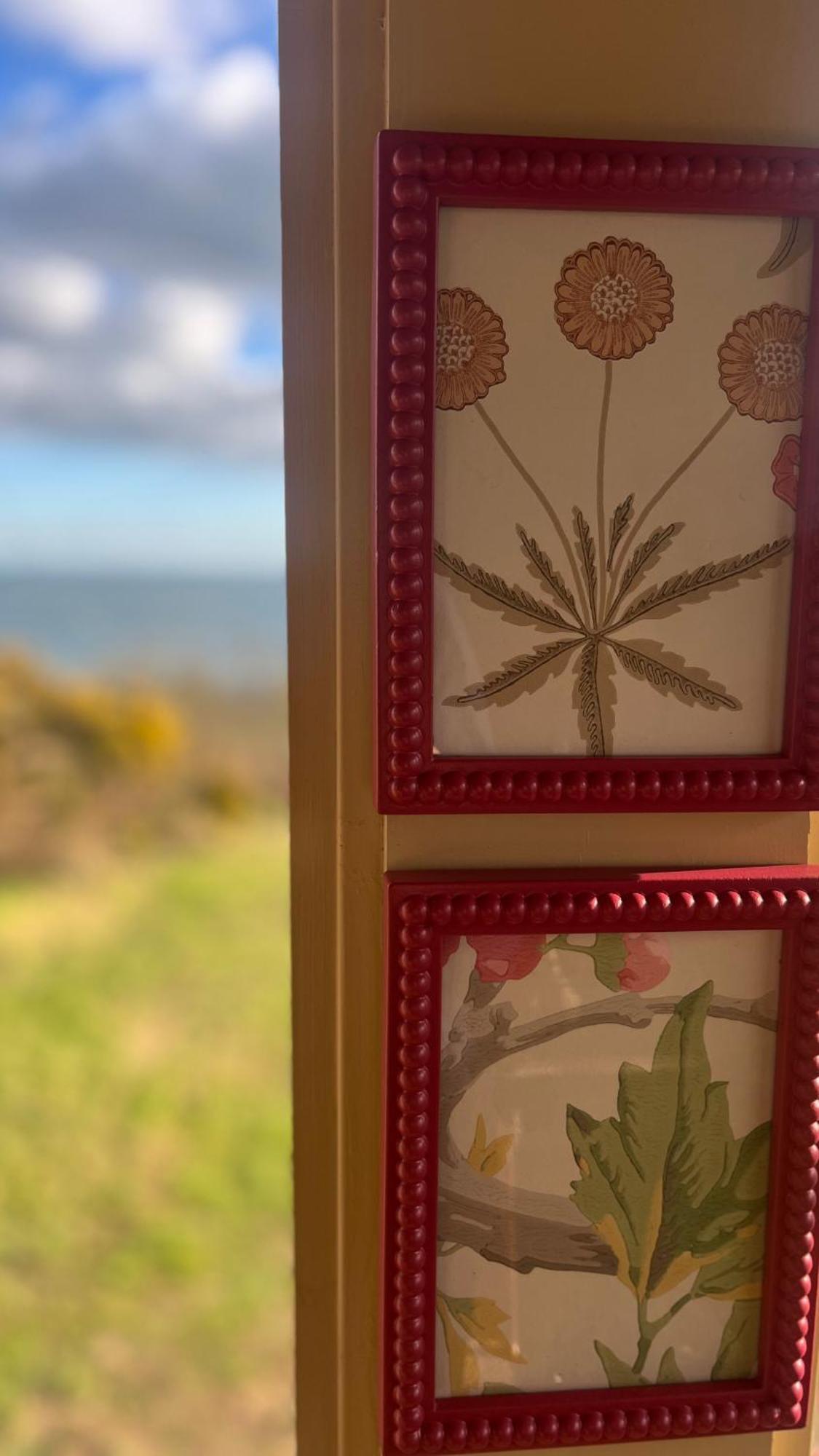 The Pink Cottage Upstairs Suite & Garden Summer Room Whitehead Eksteriør billede